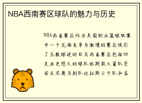 NBA西南赛区球队的魅力与历史